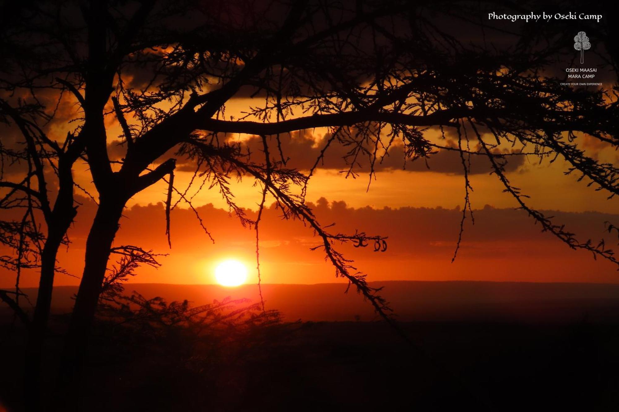 Oseki Maasai Mara Camp Hotel Narok Bagian luar foto