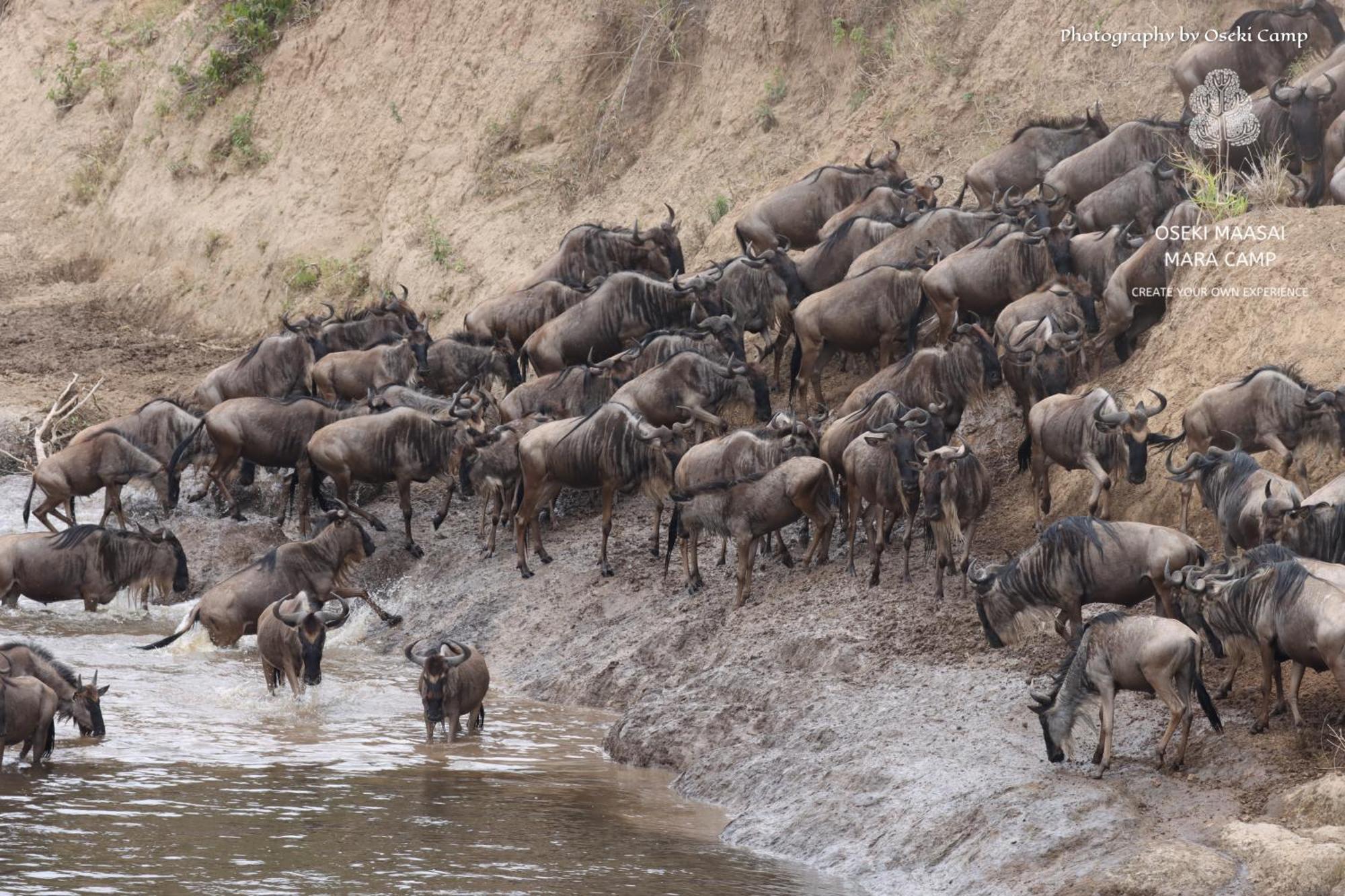 Oseki Maasai Mara Camp Hotel Narok Bagian luar foto