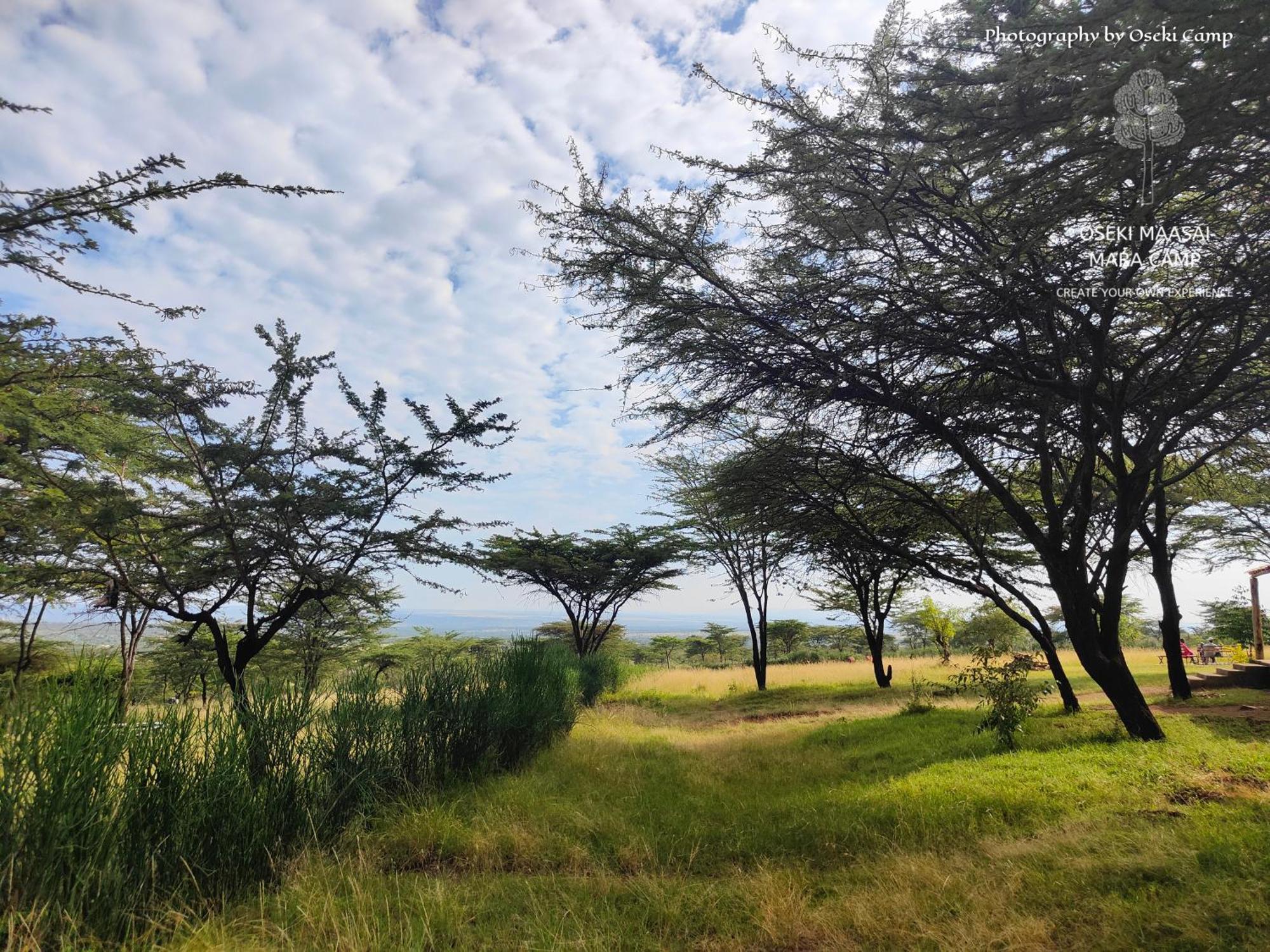Oseki Maasai Mara Camp Hotel Narok Bagian luar foto